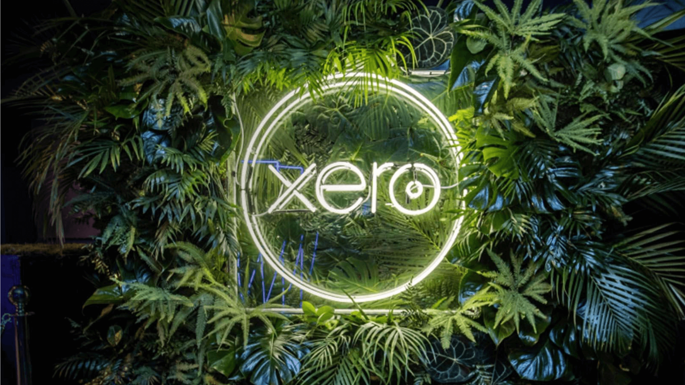 A Xero logo lights up against a backdrop of greenery in celebration of the many awards Xero has received.